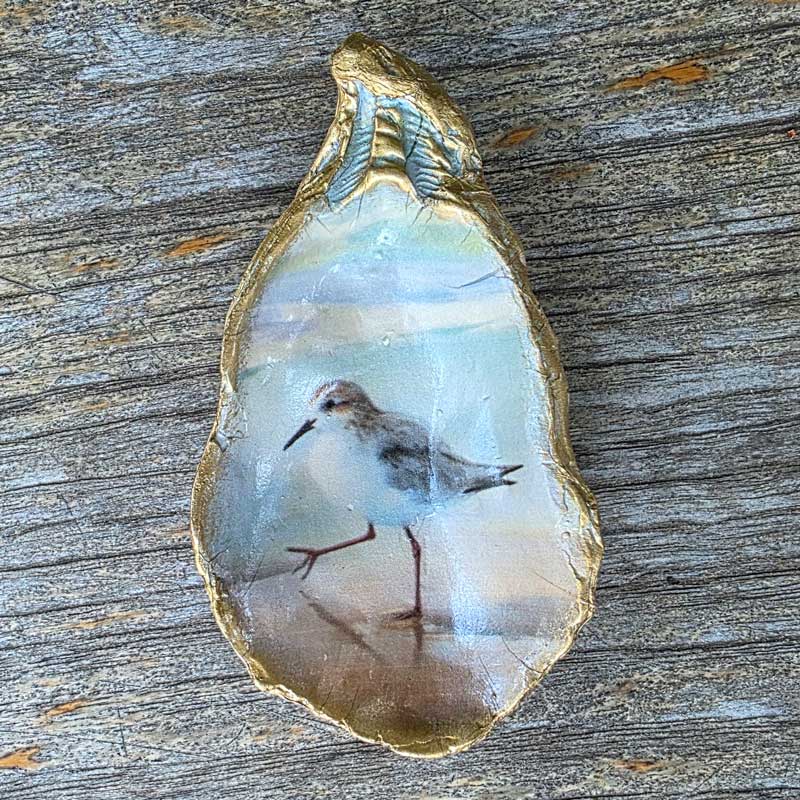 Painted Oyster Shell Design Trinket Dish - Seagull
