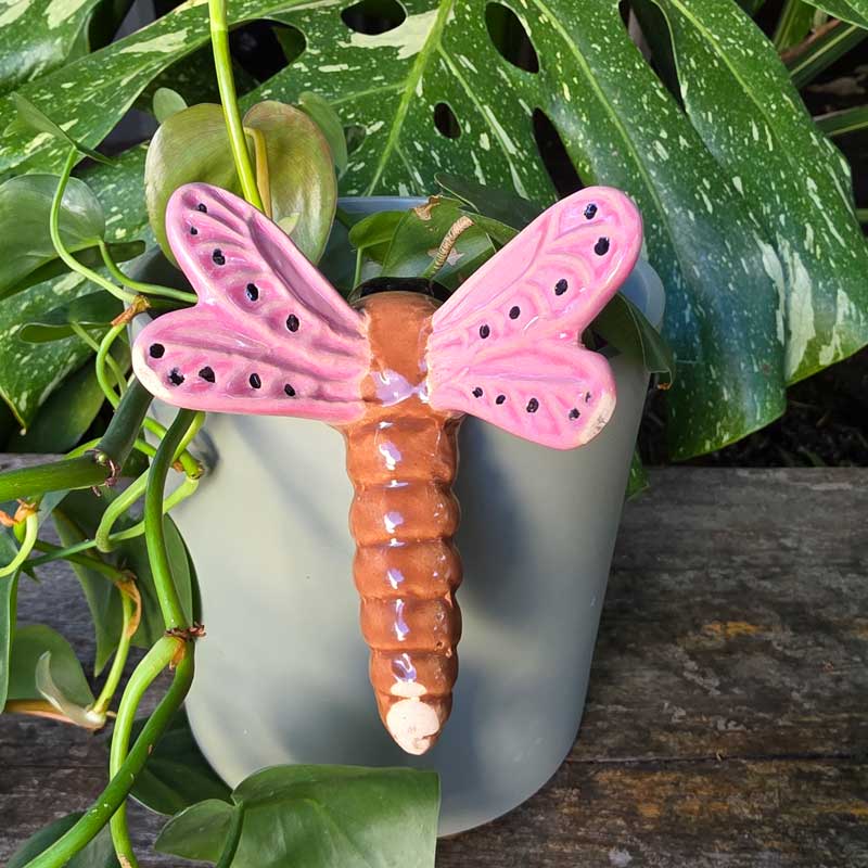 dragonfly plant hanger Dragonfly Pot Hanger