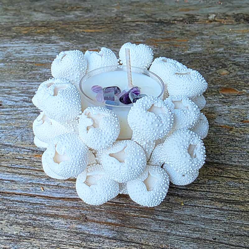 Coral Tealight Candle Holder - Porcelain