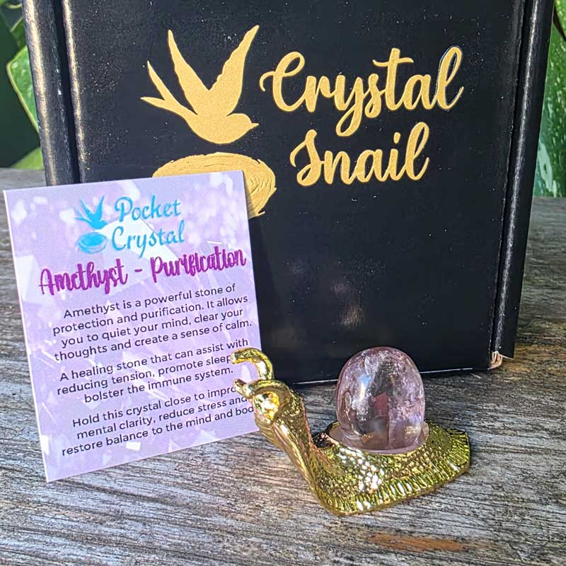 Crystal Snail - Amethyst Purification (Gold)