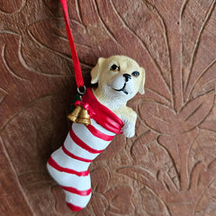 Hanging Dog In Stocking Christmas Ornament (a)