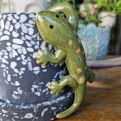Gecko Ceramic Pot Hanger