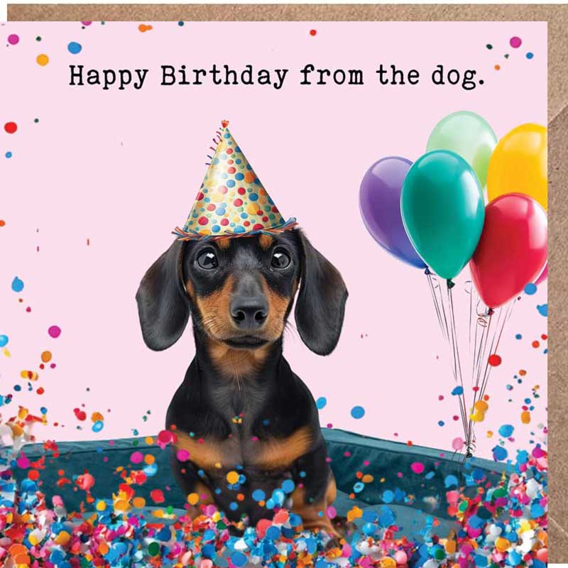 Lucy Loves Life Card - Happy Birthday From The Dog (Dachshund)