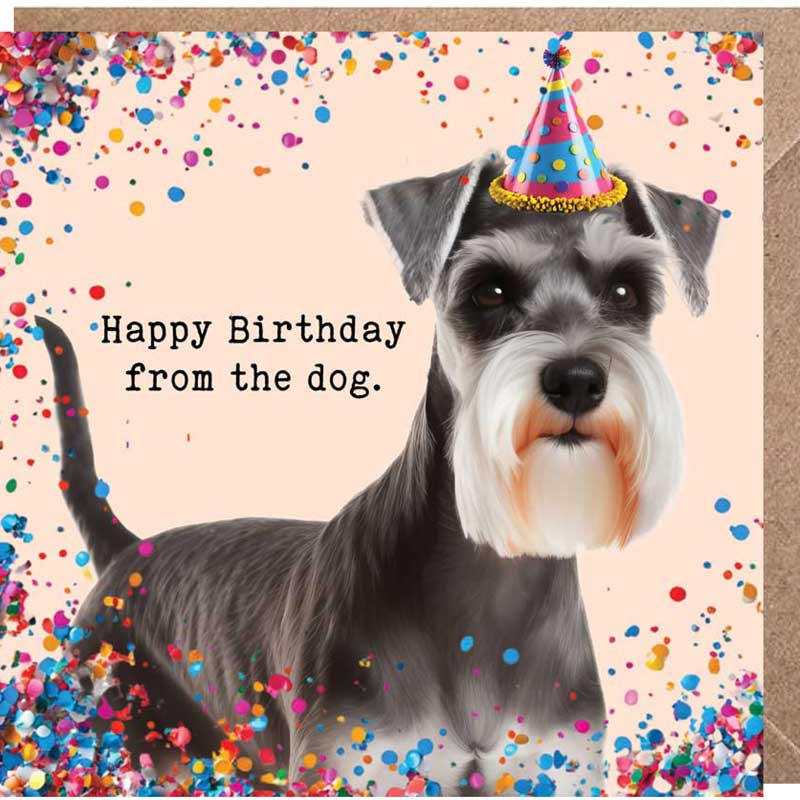 Lucy Loves Life Card - Happy Birthday From The Dog (Mini Schnauzer)