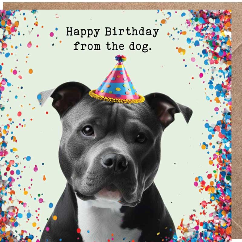 Lucy Loves Life Card - Happy Birthday From The Dog (Staffy)