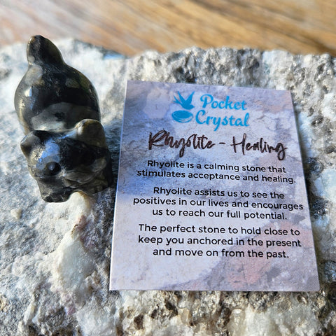 Rhyolite Pocket Crystal Cat - Healing