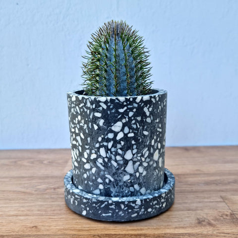 Sia Terrazzo Planter Pot & Saucer - Grey Small