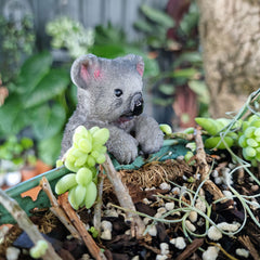 Koala Pot Sitter