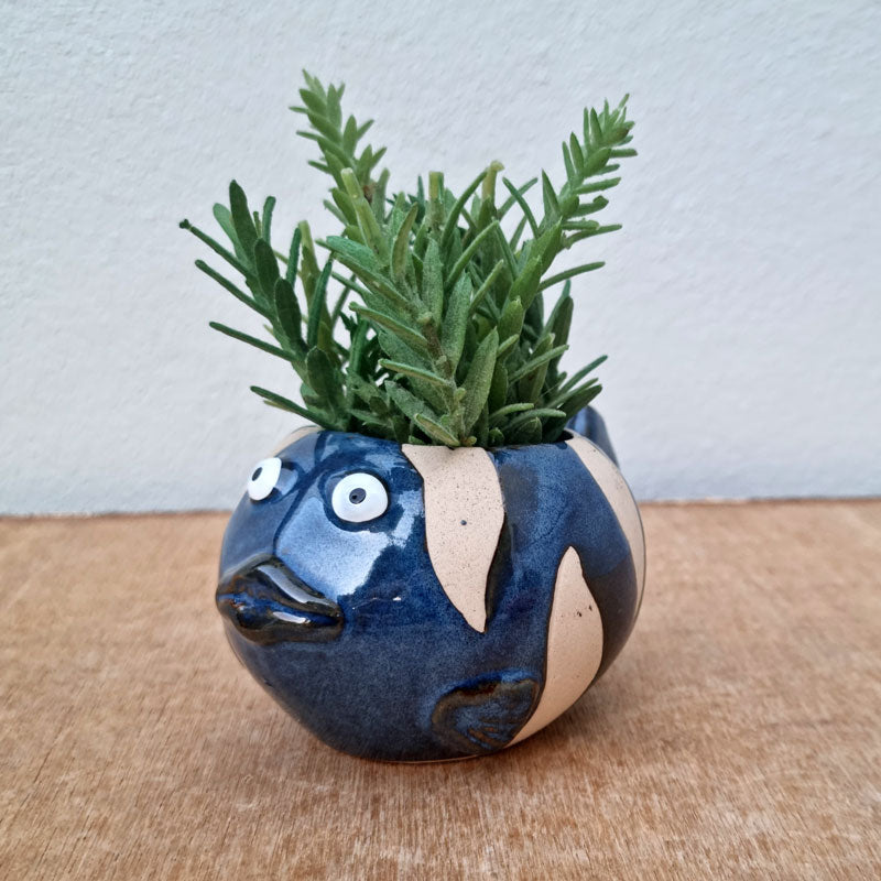 Fish Planter - Blue