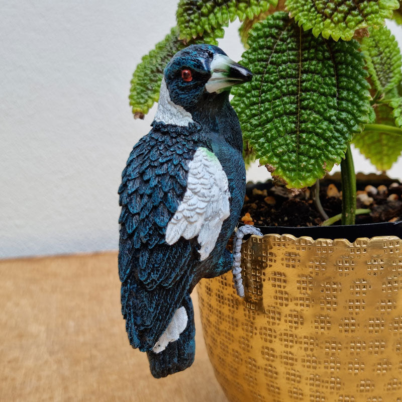 Magpie Pot Sitter