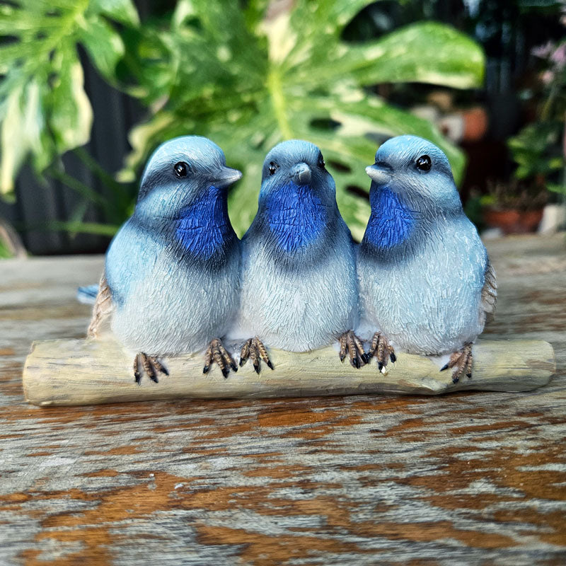 Homewares & Decor