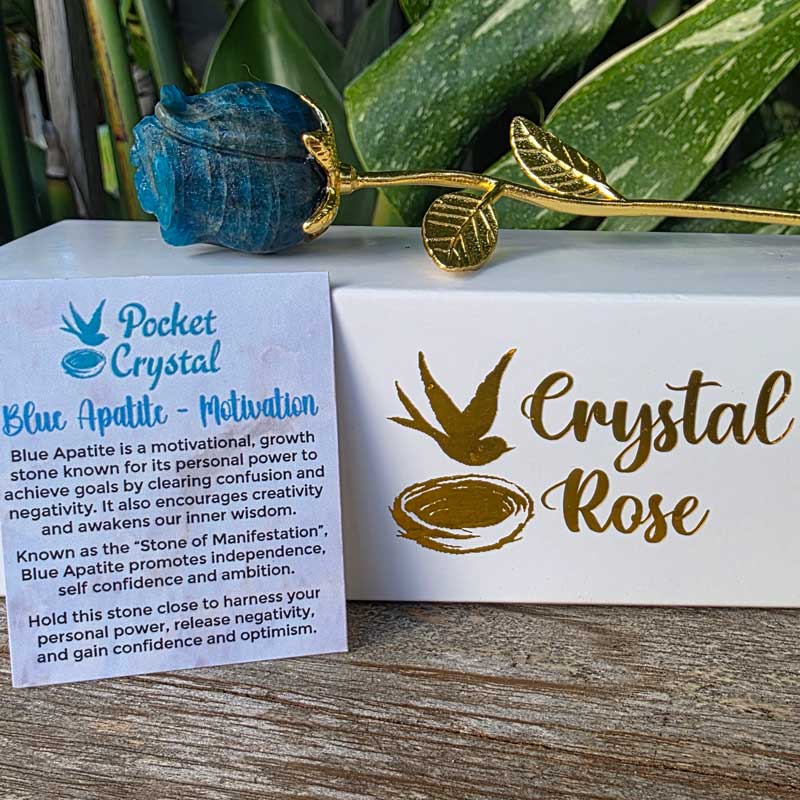 Blue Apatite Crystal Rose - Motivation