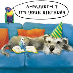Aparrotly It's Your Birthday Schnauzer Birthday Greeting Card