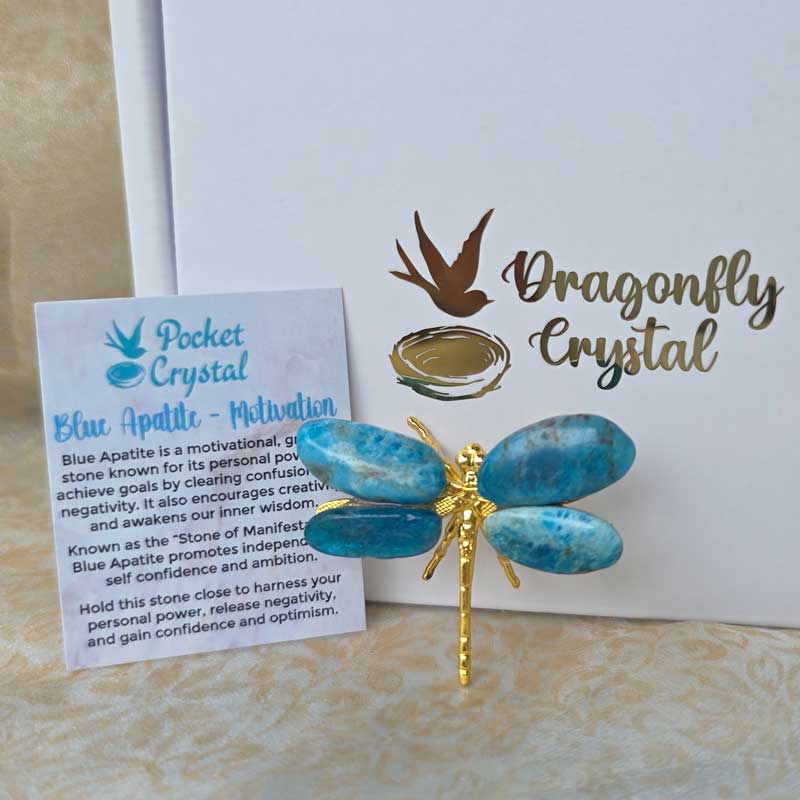 Dragonfly Crystal - Blue Apatite Motivation (Gold)