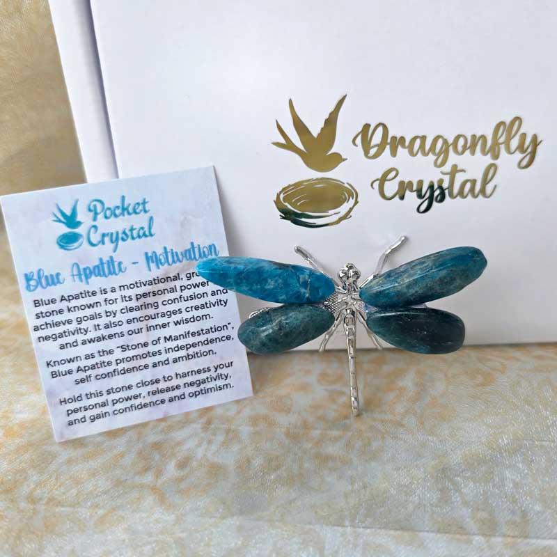 Dragonfly Crystal - Blue Apatite Motivation (Silver)