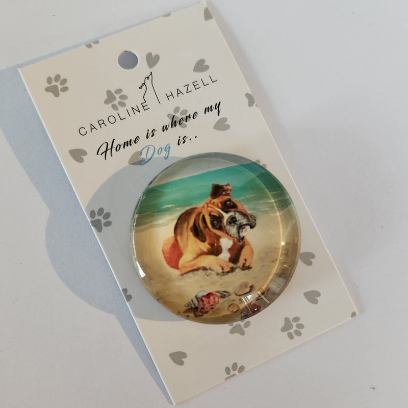 Beach Dogs Magnet - Boxer