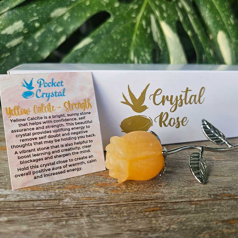 Yellow Calcite Crystal Rose - Strength – The Chic Nest