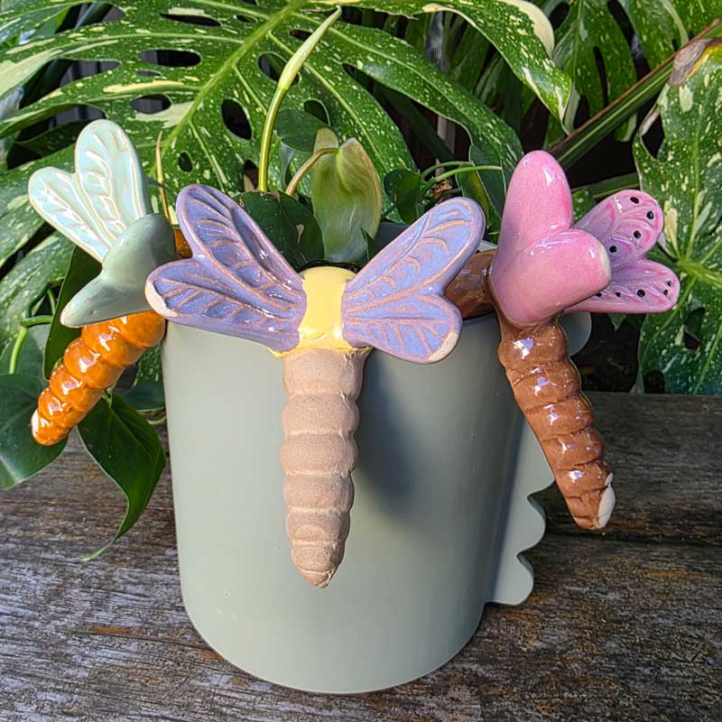 dragonfly plant hanger Dragonfly Pot Hanger