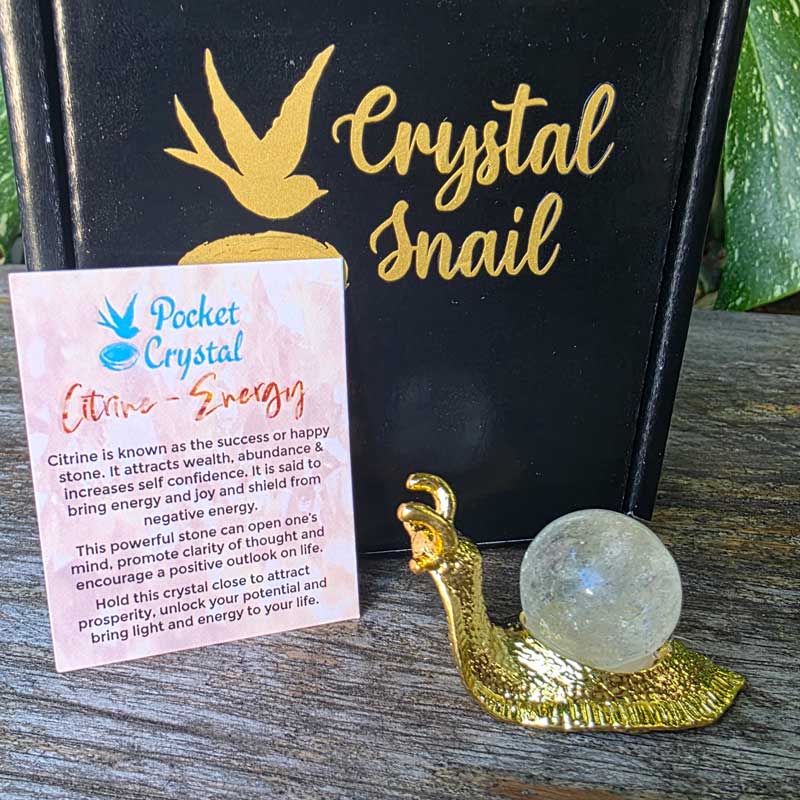 Crystal Snail - Citrine Energy & Success (Gold)