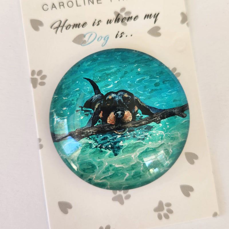 Beach Dogs Magnet - Dachshund