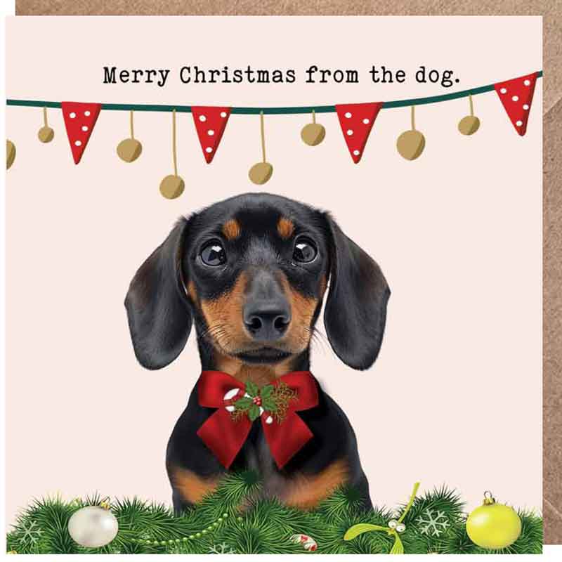 Lucy Loves Life Card - Merry Christmas From The Dog (Dachshund)