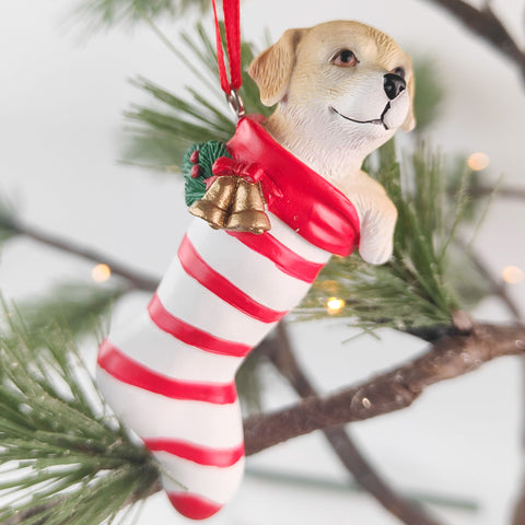 Hanging Dog In Stocking Christmas Ornament (a)