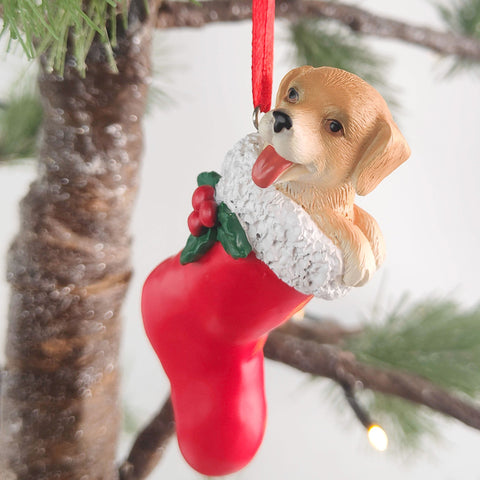 Hanging Dog In Stocking Christmas Ornament (b)