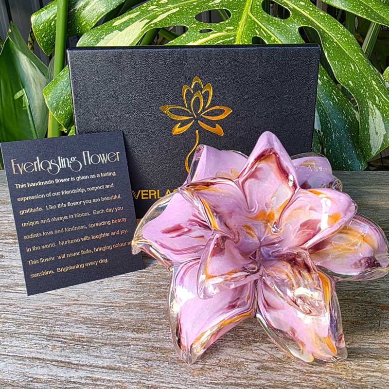 Glass Everlasting Double Flower - Pink
