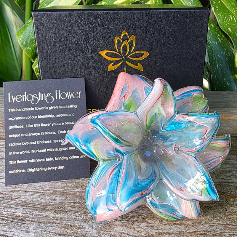 Glass Everlasting Double Flower - Soft Pastels