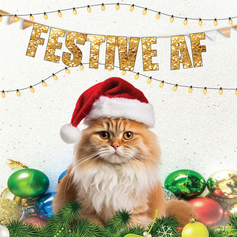 Lucy Loves Life Card - Festive AF Cat