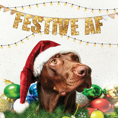 Lucy Loves Life Card - Festive AF Dog