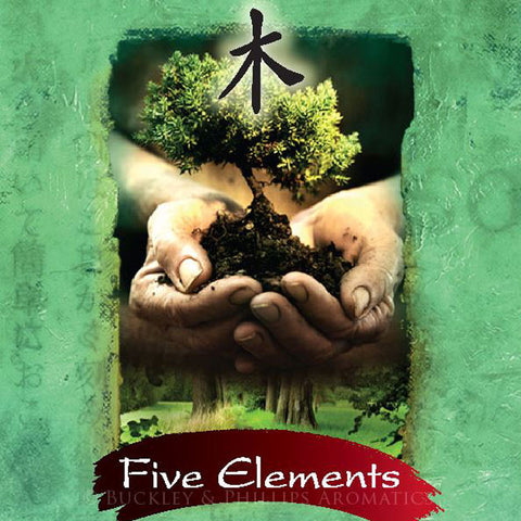 Five Elements Incense - Wood 37 Stick Pack