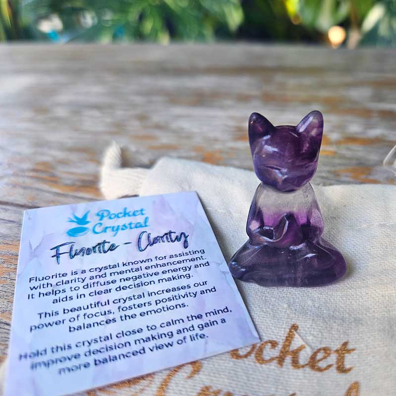 Fluorite Pocket Crystal Cat -  Clarity