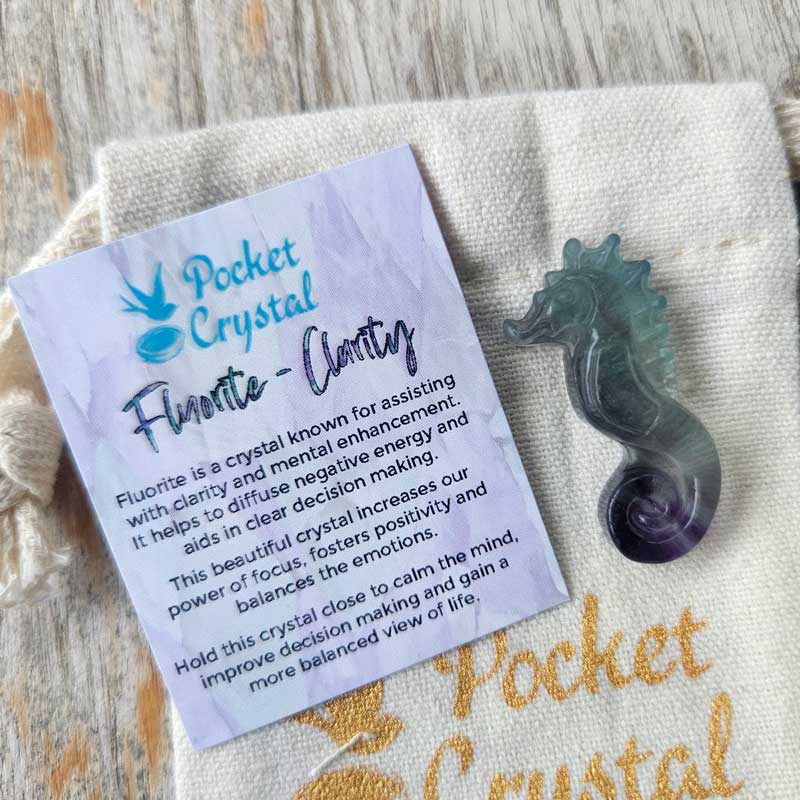 Fluorite Pocket Crystal Seahorse - Clarity