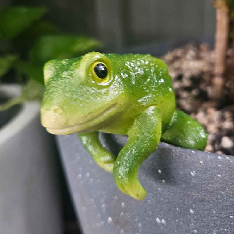 Green Frog Pot Sitter - Sitting