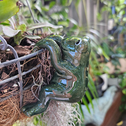 Dark Green Frog Pot Sitter