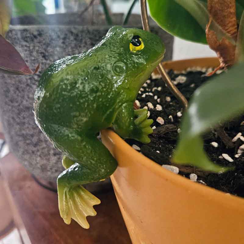 Green Frog Pot Sitter - Climbing