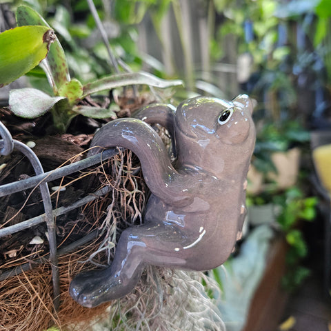 Grey Frog Pot Sitter