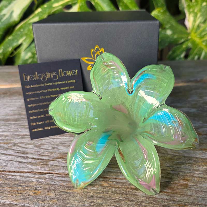 Glass Everlasting Flower - Pearlescent Green