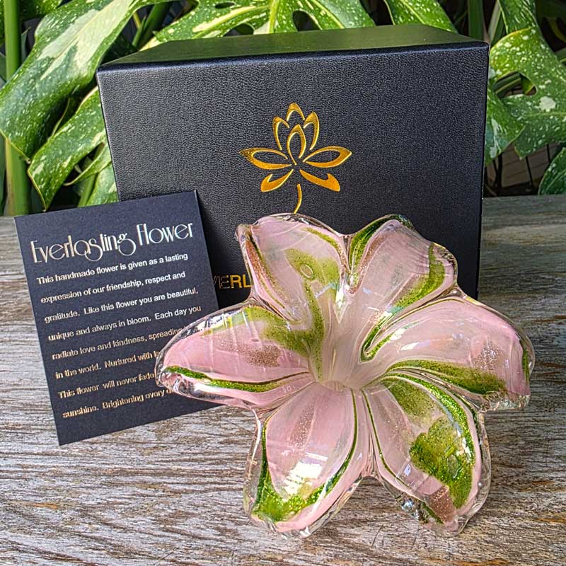 Glass Everlasting Flower - Soft Pink & Green