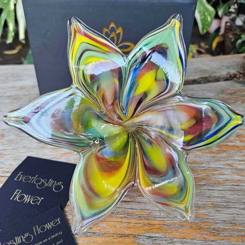 Extra Large Glass Everlasting Flower - Multicolour