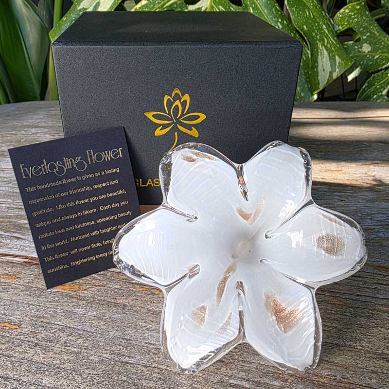 Glass Everlasting Flower - White & Gold
