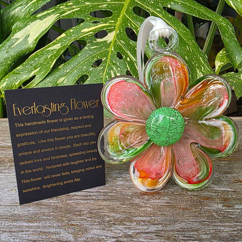 Hanging Glass Everlasting Flower - Peach & Green