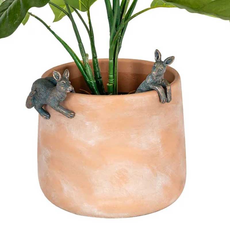 Kangaroo Pot Sitter - Climbing