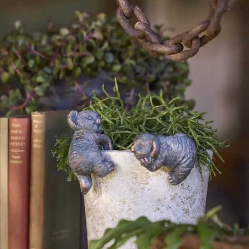 Koala Pot Sitter - Climbing