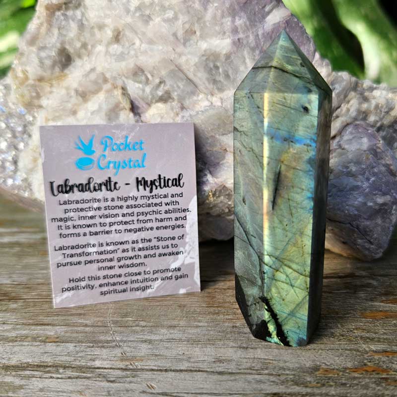 Labradorite Pocket Crystal Point Wand - Mystical