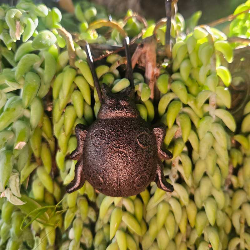 Pot Hanger Ladybug