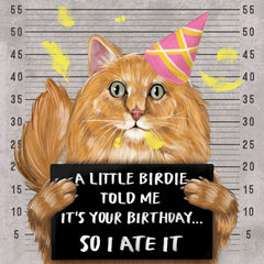 A Little Birdie Told Me Birthday Greeting Card