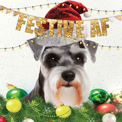 Lucy Loves Life Card - Festive AF Mini Schnauzer