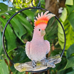 Major Mitchell's Cockatoo In Ring Garden Ornament